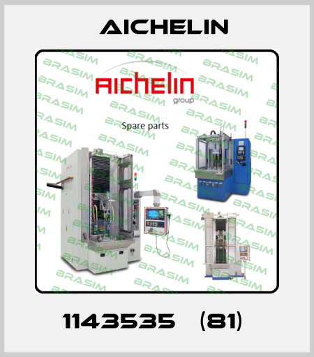 1143535   (81)  Aichelin
