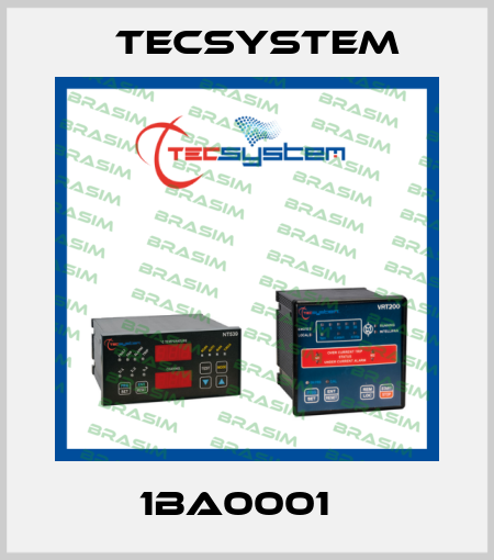 1BA0001   Tecsystem