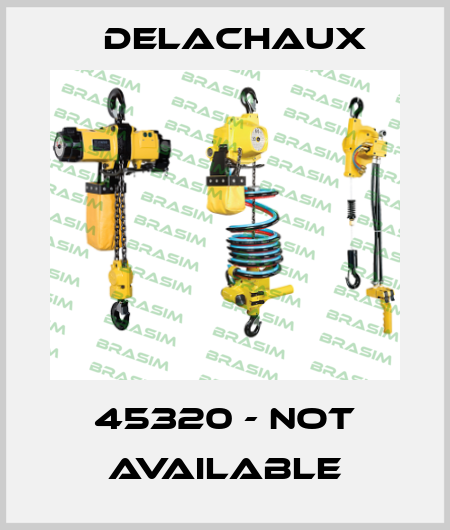 45320 - not available Delachaux
