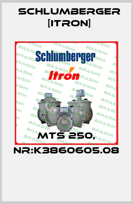 MTS 250, Nr:K3860605.08  Schlumberger [Itron]