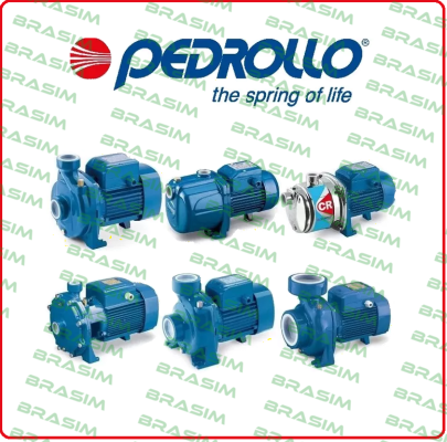 CP m 158 X  Pedrollo Water Pumps