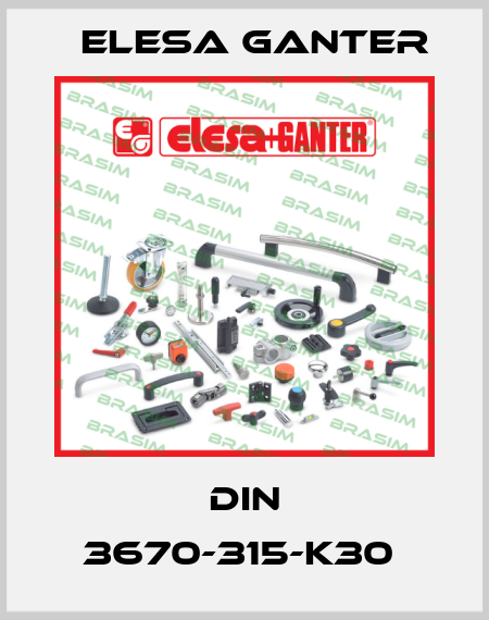DIN 3670-315-K30  Elesa Ganter