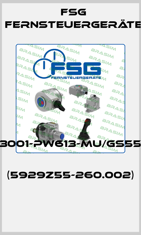 SL3001-PW613-MU/GS55/01   (5929Z55-260.002)  FSG Fernsteuergeräte