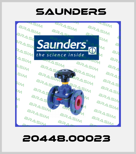 20448.00023  Saunders