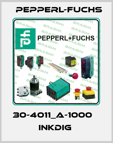 30-4011_A-1000          InkDIG  Pepperl-Fuchs