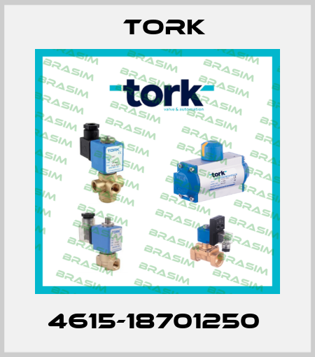 4615-18701250  Tork