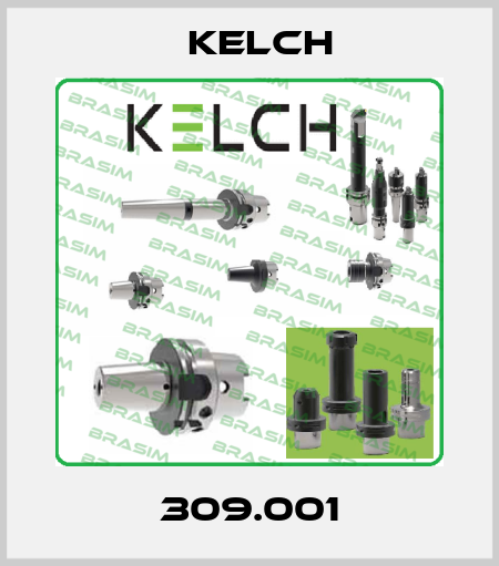 309.001 Kelch