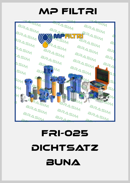 FRI-025 DICHTSATZ BUNA  MP Filtri