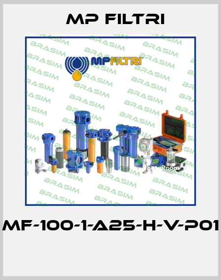 MF-100-1-A25-H-V-P01  MP Filtri