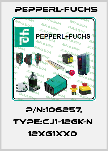P/N:106257, Type:CJ1-12GK-N            12xG1xxD  Pepperl-Fuchs
