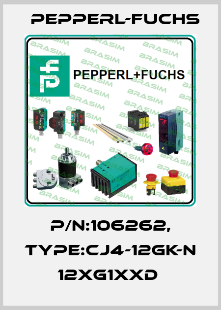 P/N:106262, Type:CJ4-12GK-N            12xG1xxD  Pepperl-Fuchs