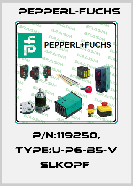 P/N:119250, Type:U-P6-B5-V               SLKopf  Pepperl-Fuchs