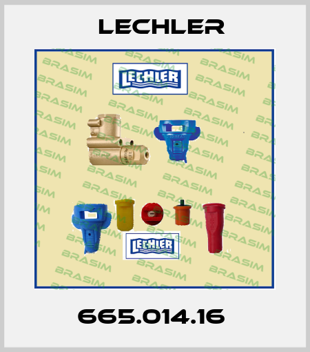 665.014.16  Lechler