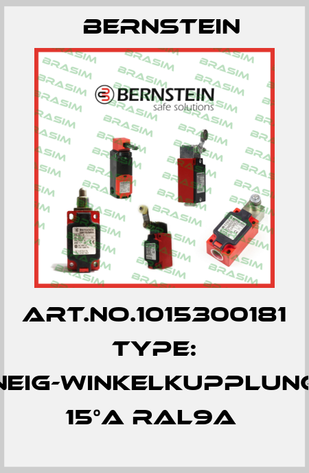 Art.No.1015300181 Type: NEIG-WINKELKUPPLUNG 15°A RAL9A  Bernstein