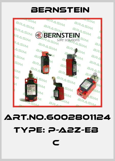 Art.No.6002801124 Type: P-A2Z-EB                     C  Bernstein