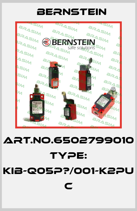 Art.No.6502799010 Type: KIB-Q05P?/001-K2PU           C Bernstein