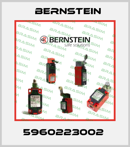 5960223002  Bernstein