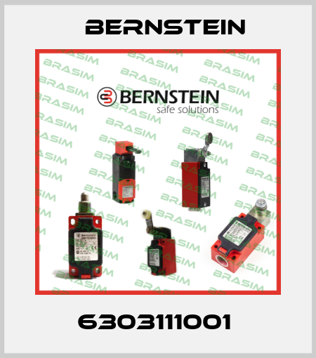 6303111001  Bernstein