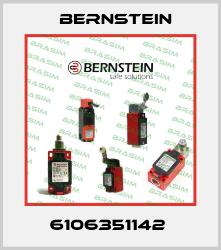 6106351142  Bernstein