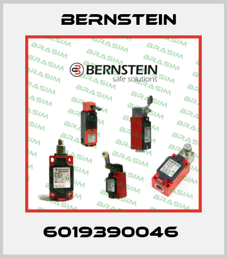 6019390046  Bernstein