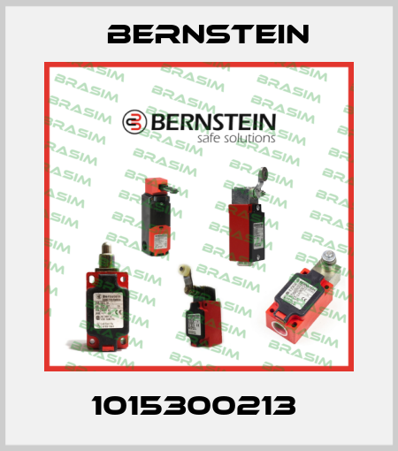 1015300213  Bernstein