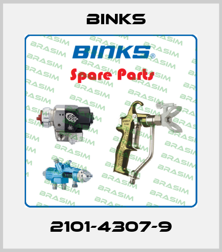 2101-4307-9 Binks