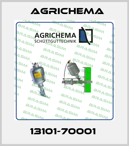 13101-70001  Agrichema
