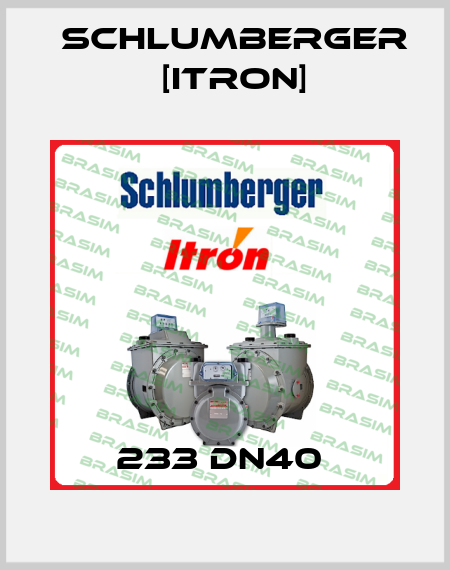 233 DN40  Schlumberger [Itron]