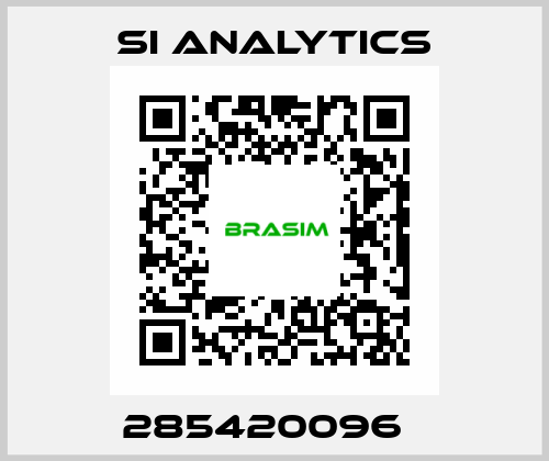 285420096   SI Analytics