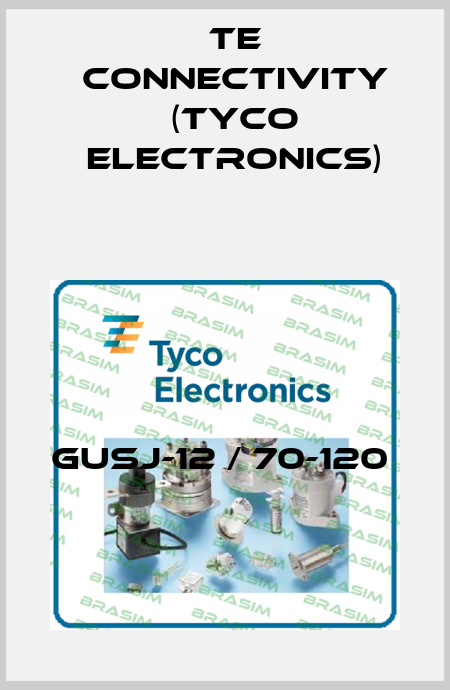 GUSJ-12 / 70-120  TE Connectivity (Tyco Electronics)