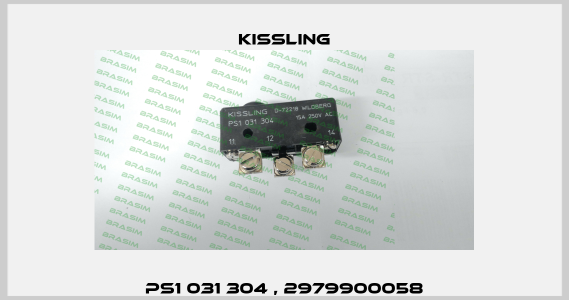 PS1 031 304 , 2979900058 Kissling
