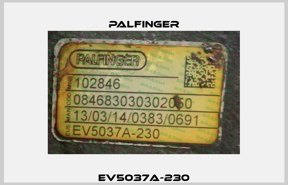 EV5037a-230 Palfinger