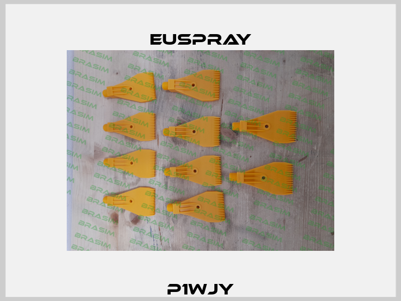 P1WJY Euspray