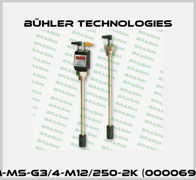 NT M-MS-G3/4-M12/250-2K (000069598) Bühler Technologies
