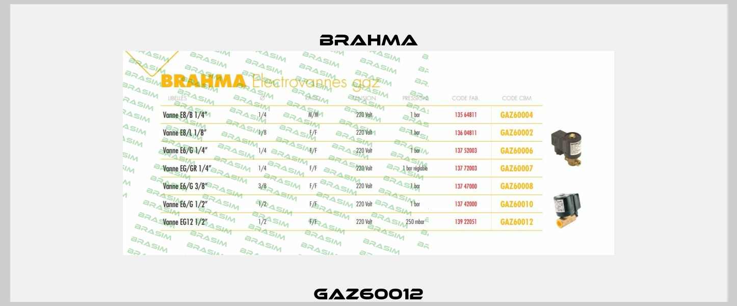 GAZ60012 Brahma