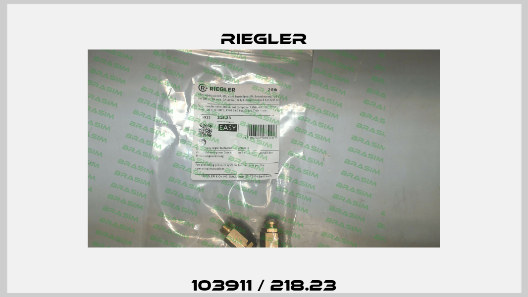 103911 / 218.23 Riegler