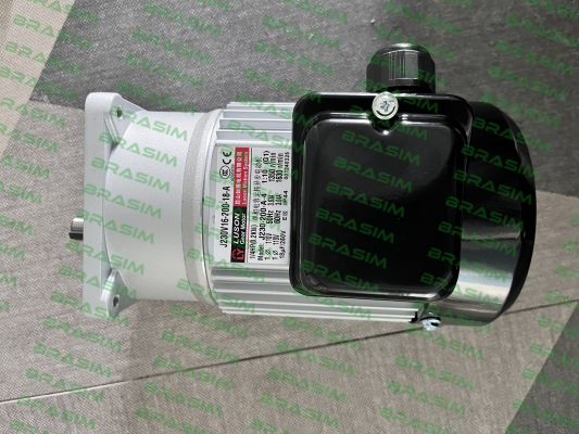 J230V16-200-18-A(G1) Luyang Gear Motor