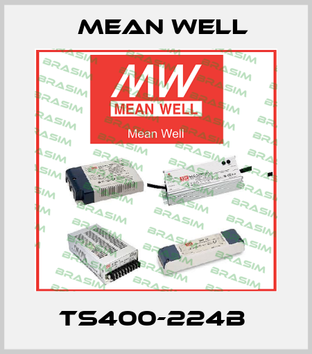 TS400-224B  Mean Well