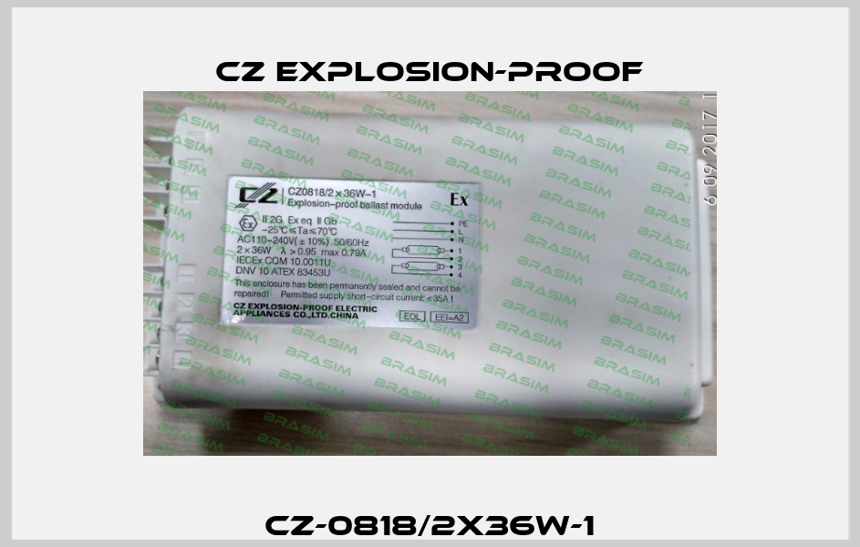 CZ-0818/2x36W-1 CZ Explosion-proof