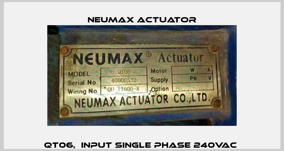 QT06,  input single phase 240VAC  Neumax Actuator