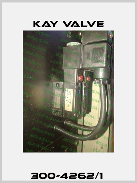 300-4262/1  Kay Valve