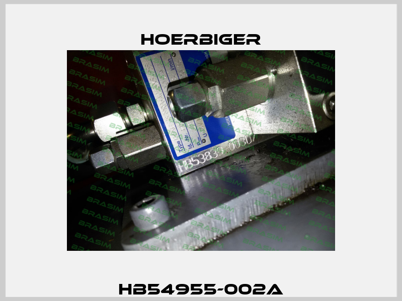 HB54955-002A Hoerbiger