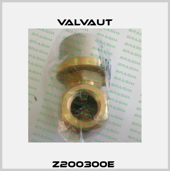 Z200300E  Valvaut