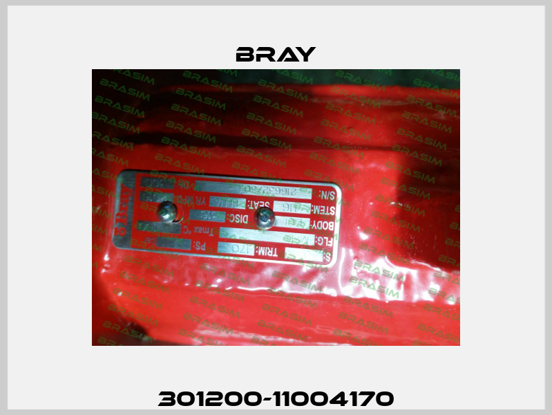 301200-11004170 Bray
