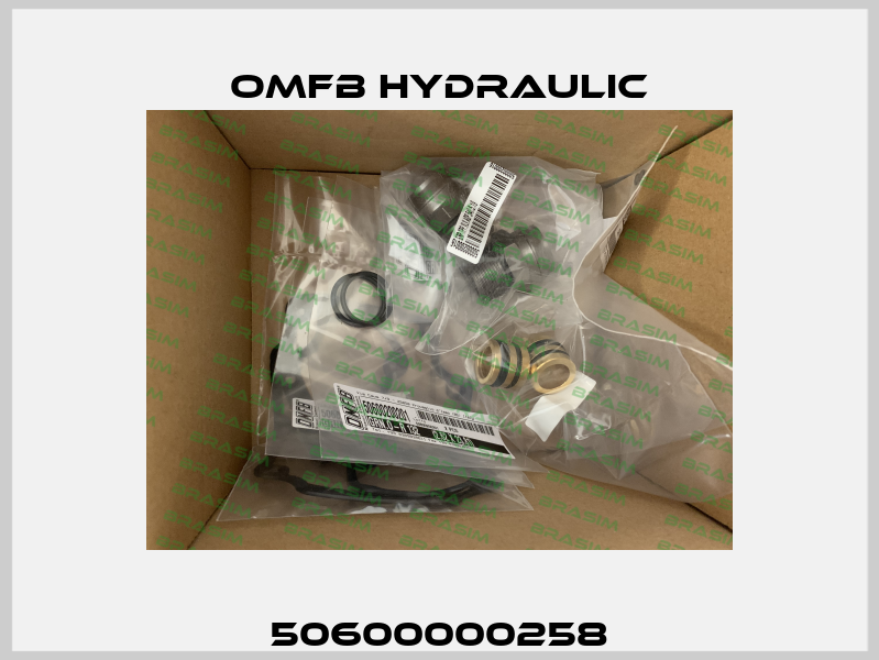 50600000258 OMFB Hydraulic