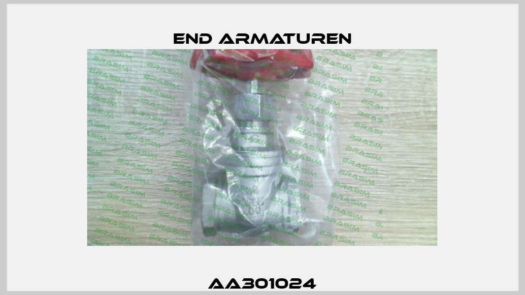 AA301024 End Armaturen