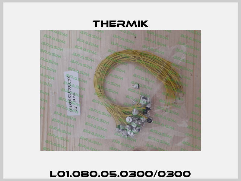 L01.080.05.0300/0300 Thermik