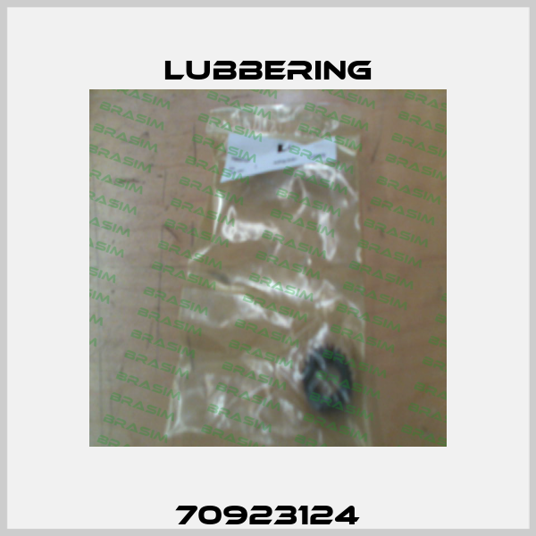 70923124 Lubbering