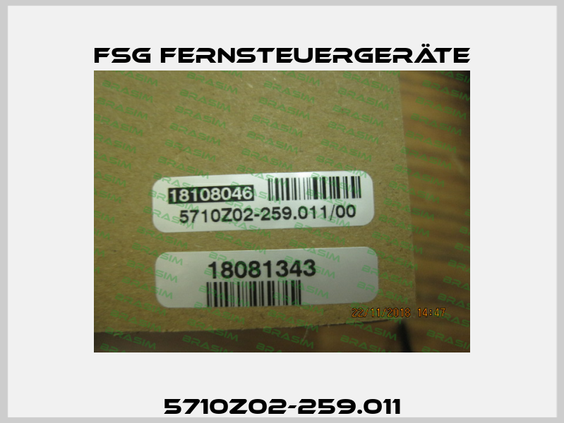 5710Z02-259.011 FSG Fernsteuergeräte