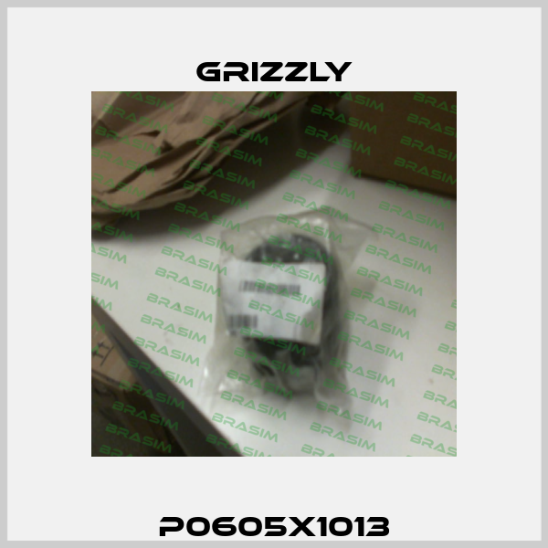 P0605X1013 Grizzly